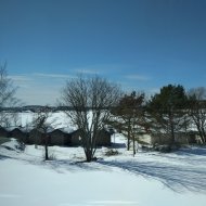 Winter Views
