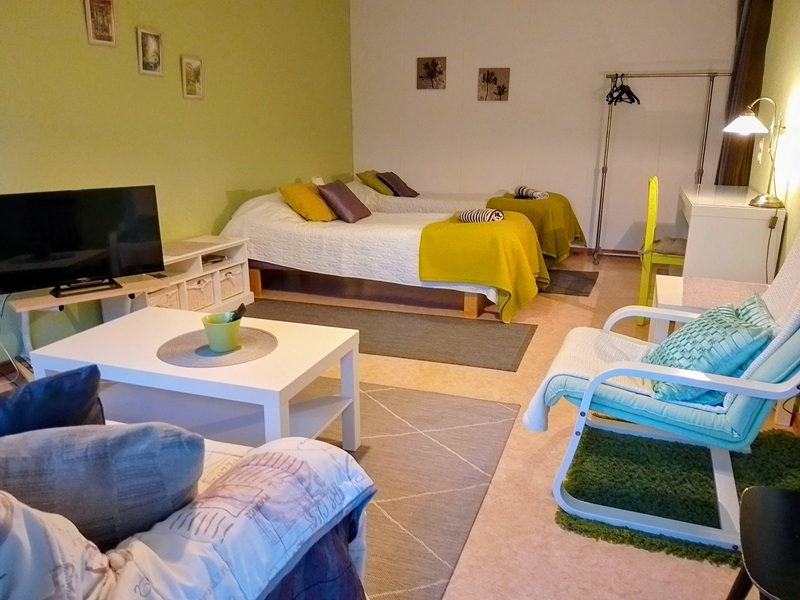 Bed room / living room