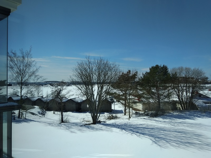 Winter Views